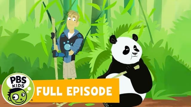 Panda Rescue
