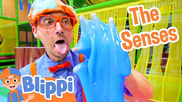 5 senses