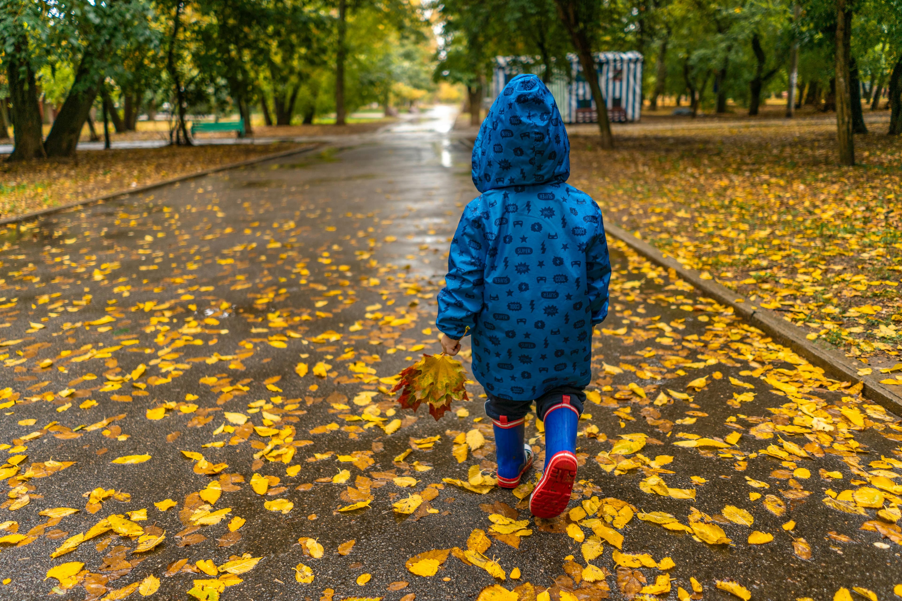 When Do Kids Understand Seasons and Weather? And How High-Quality Shows Support Their Curiosity